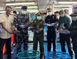 Ikan Hidup 8,3 Ton asal Natuna Berhasil Diekspor ke Hong Kong Awal Tahun 2026