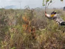 Polisi dan Warga Berjibaku Jinakkan Api di Batubi, 50 Hektare Lahan Hangus