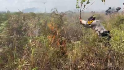 Polisi dan Warga Berjibaku Jinakkan Api di Batubi, 50 Hektare Lahan Hangus