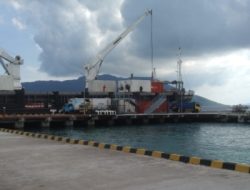 Pasokan Daging Ayam ke Natuna Turun Jadi 30 Ton, Distribusi Tol Laut Tetap Prioritaskan Kebutuhan Pokok