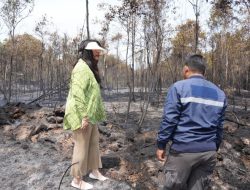 Fenomena El Nino, BP Batam Pastikan Suplai Air Tetap Optimal