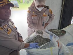 Karantina Kepri Sertifikasi 9,2 Ton Ikan Teri Kering, Nilai Ekonomi Capai Rp462 Juta