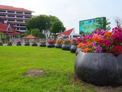 BP Batam Ungkap Pengadaan Pot Bougenville dari Dana CSR