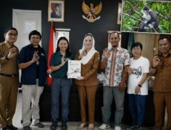 Kekah Natuna Terancam Punah, Pemkab Siapkan 39 Hektar Kawasan Konservasi