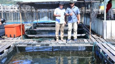 Danlanud RSA Dukung Budidaya Ikan Laut, Perkuat Ekonomi Pesisir Natuna