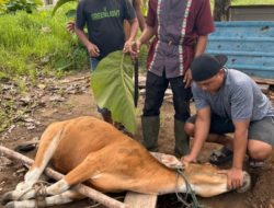 Momentum Idul Adha, SAR Natuna Tebar Kepedulian Sosial di Perbatasan