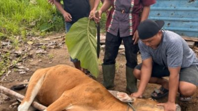 Momentum Idul Adha, SAR Natuna Tebar Kepedulian Sosial di Perbatasan