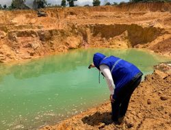BP Batam Pulihkan Bekas Tambang Pasir Ilegal, Perusak Lingkungan Akan Diberi Sanksi Tegas