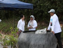 BP Batam Kecam Perusakan Puluhan Tanaman Bugenvil, Ariastuty: Ciderai Semangat Kolektif Penataan Kota