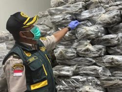 Karantina Kepri Terbitkan Sertifikat Kesehatan untuk 290 Ton Ikan Asal Natuna Bernilai Rp4,45 Miliar