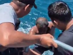 Kesaksian Nahkoda Jadi Petunjuk Baru, Tim SAR Perluas Pencarian Dua ABK