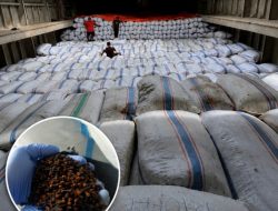 Dari Perbatasan ke Industri Nasional, 188,7 Ton Cengkeh Natuna Kantongi Sertifikat KT-3