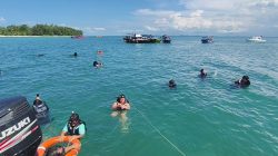 Jelajah Pulau di Mersing, Menyusuri Tiga Pulau Eksotis Penjaga Keindahan Johor hingga Konservasi Penyu Langka