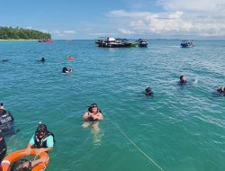 Jelajah Pulau di Mersing, Menyusuri Tiga Pulau Eksotis Penjaga Keindahan Johor hingga Konservasi Penyu Langka