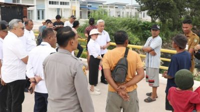 Buaya 4 Meter Muncul di Permukiman Sagulung, Li Claudia Minta Segera Cari dan Dievakuasi