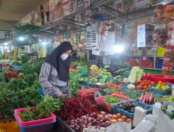 Inflasi Kepri Naik ke 3,92 Persen, Harga Pangan Jadi Penyumbang Terbesar