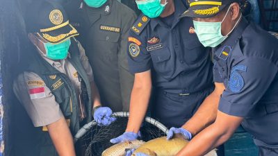 Lolos Uji Karantina, Ribuan Ikan Asal Natuna Tembus Pasar Hong Kong