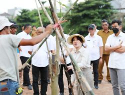 Pemkot Batam Sulap DAS Baloi Indah Jadi Taman Kota dan Ruang Terbuka Hijau