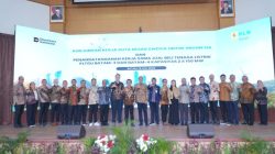 Swedia Perkuat Pasokan Listrik untuk Investasi Strategis di Batam