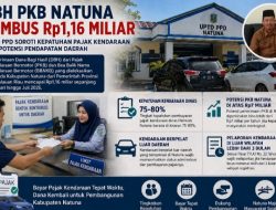 DBH PKB Natuna Tembus Rp1,16 Miliar, UPTD PPD Soroti Kepatuhan Pajak Kendaraan dan Potensi Pendapatan Daerah